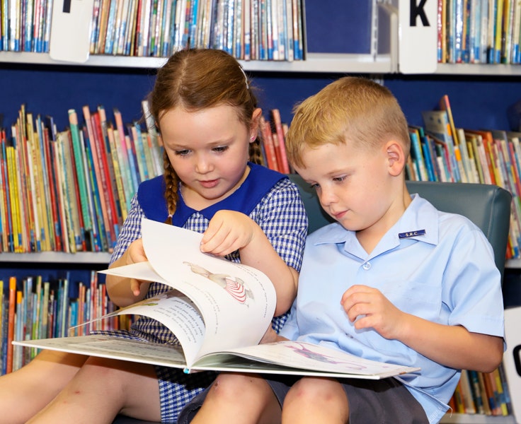 Our well stocked library